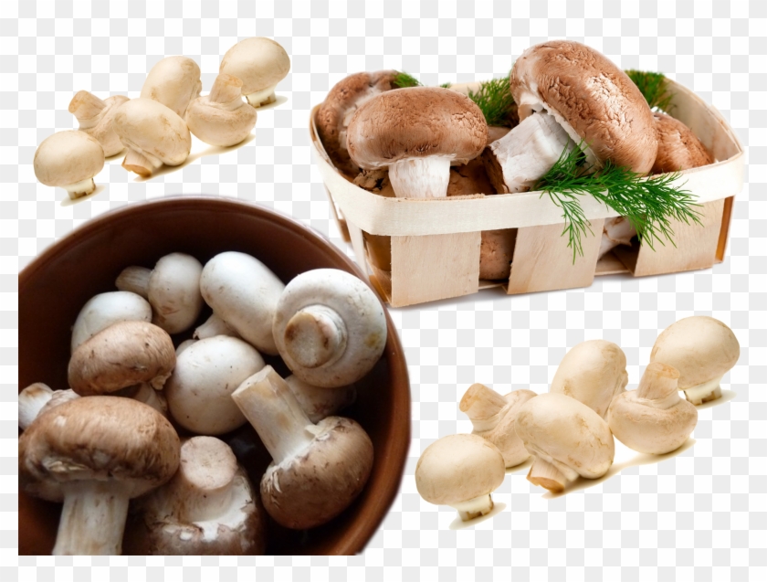 Mashroom - Mushroom Vegetable Clipart #5640298