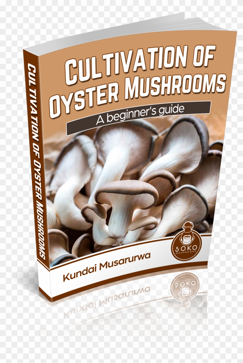 Oyster Mushrooms Manual Available - Flyer Clipart