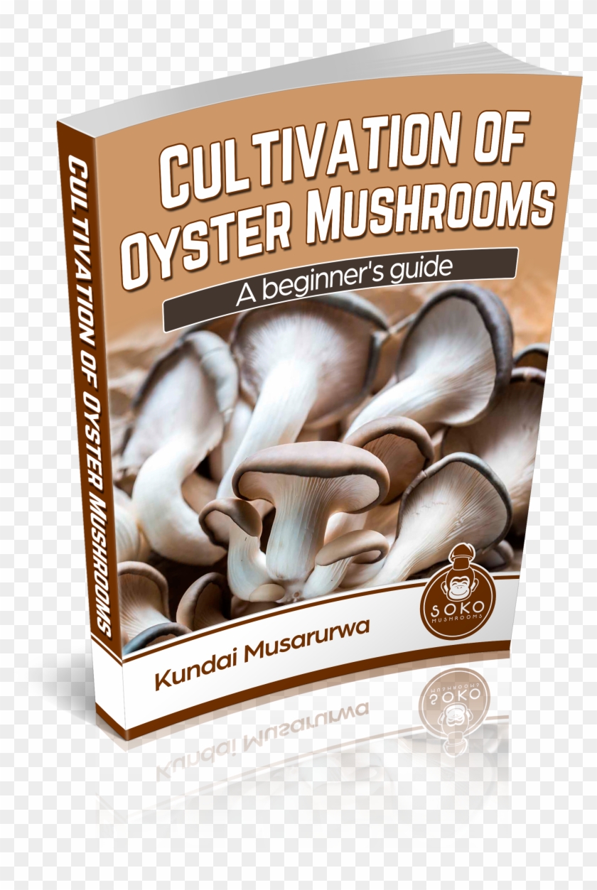 Oyster Mushrooms Manual Available - Flyer Clipart #5640378