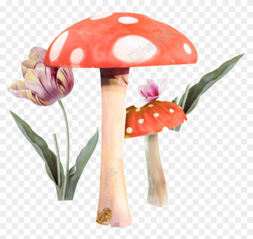 Vector Mushroom Vintage - Flower Clipart #5640405