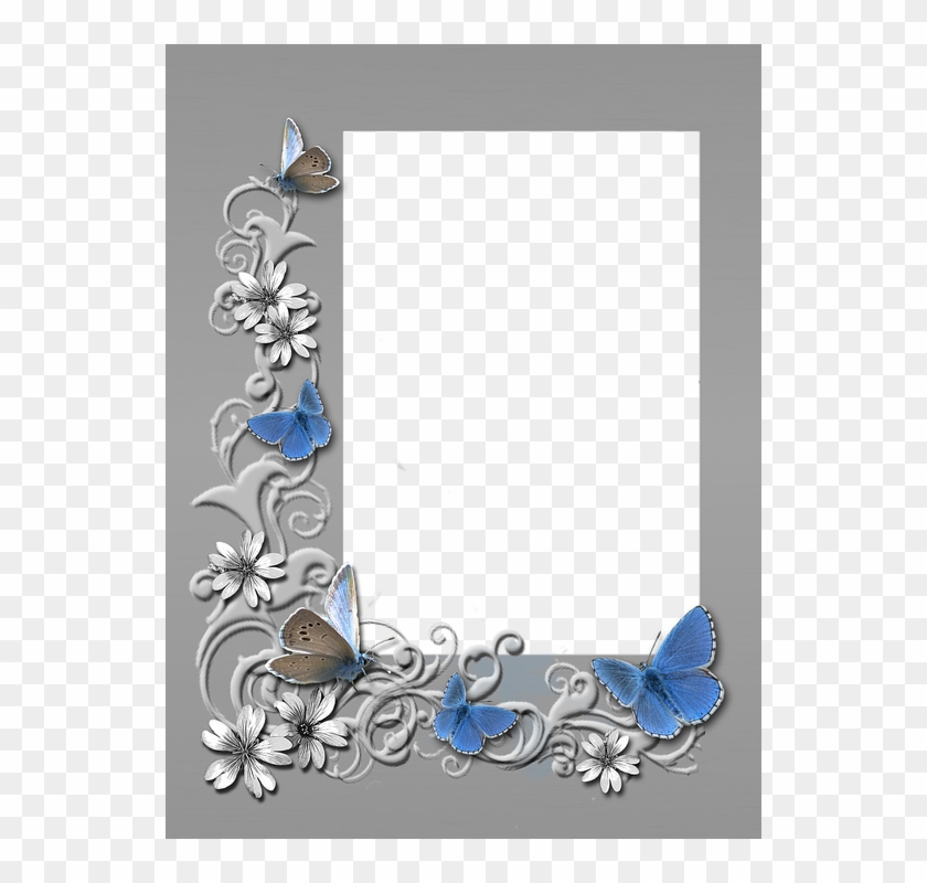 Frame Photo Grey Butterflies Paper Photoshop - Illustration Clipart #5640861