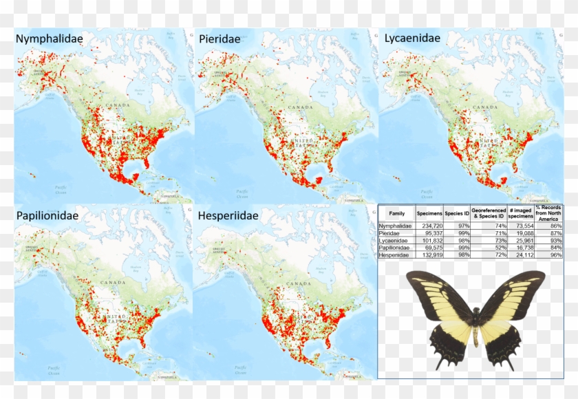 Occurrence Maps And Statistics For Five Families Of - Maps Lepidoptera Clipart