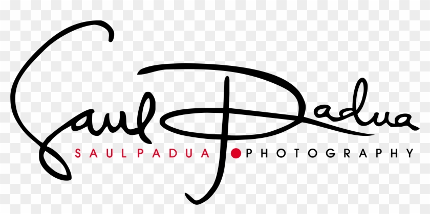 Home - Calligraphy Clipart