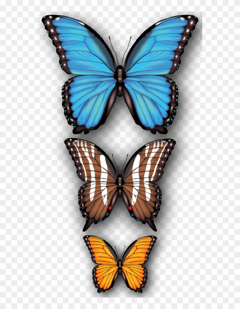 Butterflies - Papilio Clipart #5641961