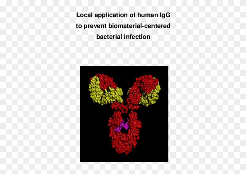 Pdf - Floral Design Clipart