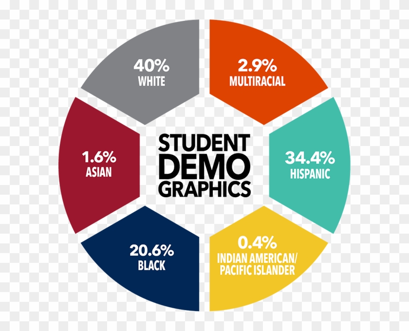 Percentile Graphic Showing Student Demographics - Circle Clipart