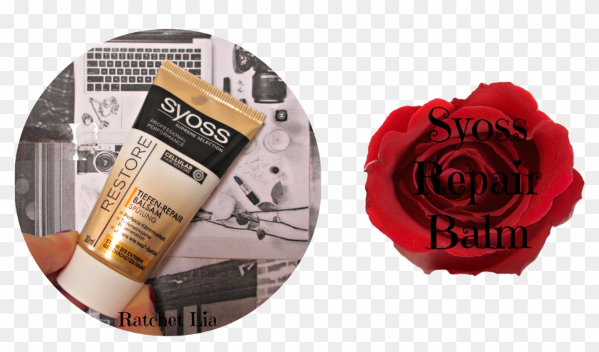 Because I Dye My Hair Blonde Every Month, I Have To - Garden Roses Clipart #5644467