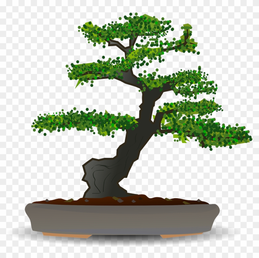 Bonsai Tree Dwarf Tree Garden Png Image - Bonsai Clipart Transparent Png #5644593