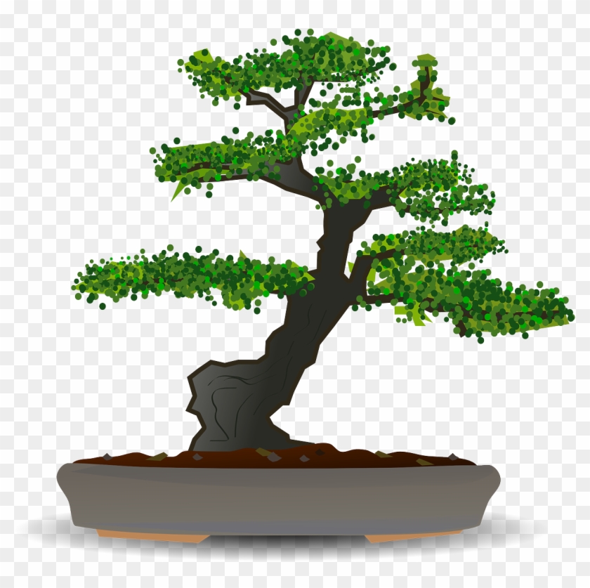 Bonsai Tree Dwarf Tree Garden Png Image - Bonsai Clipart Transparent Png