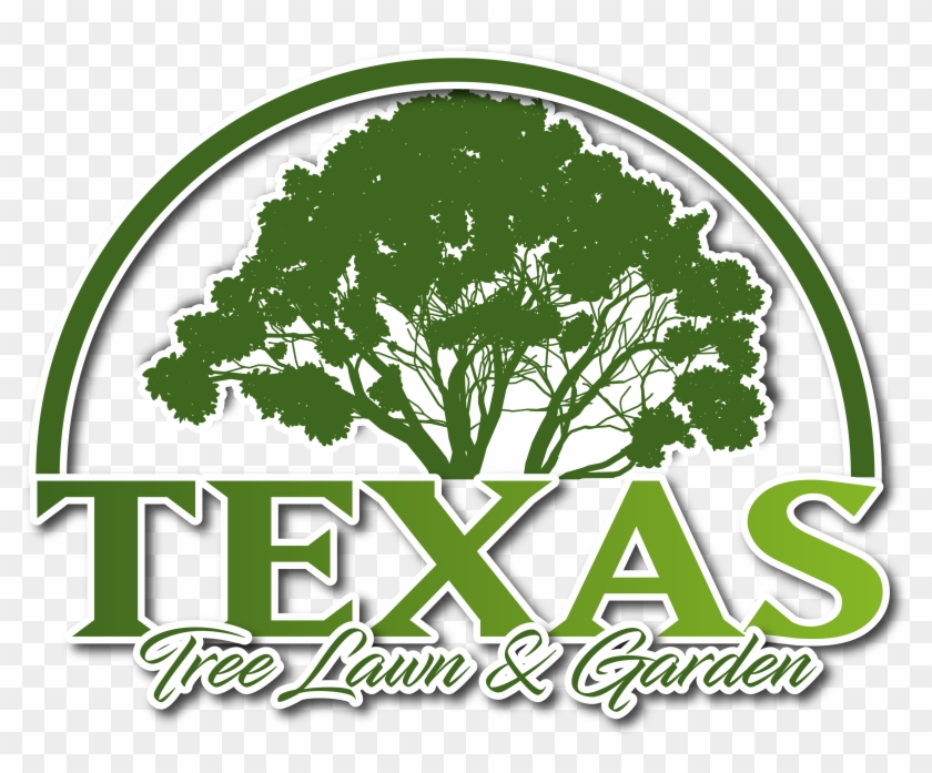 Corpus Christi, Tx Aside From Their Beautiful Value - Graphic Design Clipart #5644823