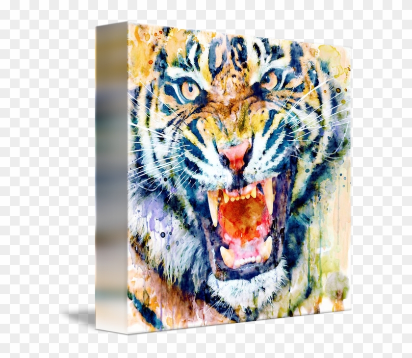 "tiger Face Watercolor Closeup" By Marian Voicu, Bucharest - Watercolor Painting Clipart