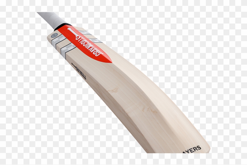 Classic Gray Nicolls Clipart #5647662