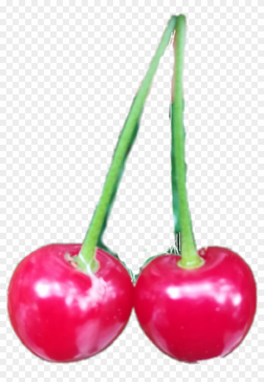 Cherry Sticker - Cherry Clipart