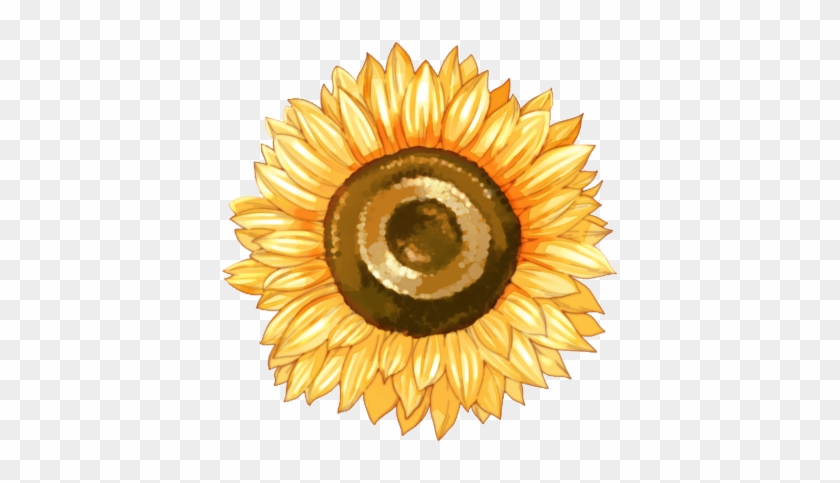 Sunflower Clipart #5648346