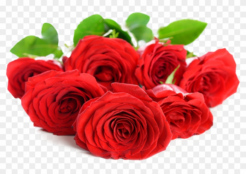 Wallpaper - Rose Flowers Wallpaper Png Clipart