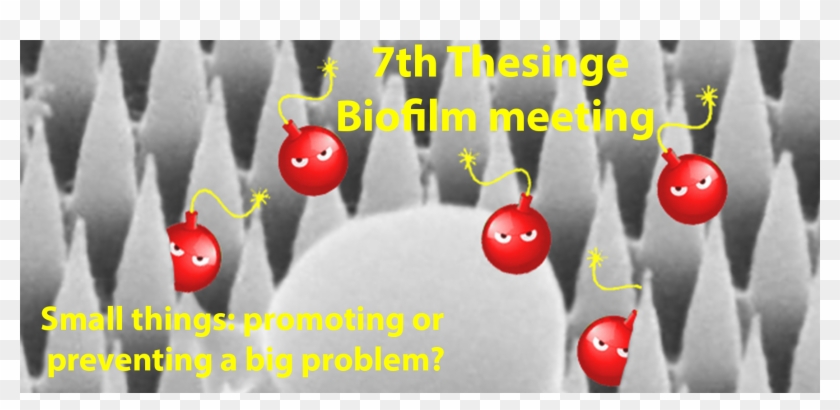 The 7th Thesinge Biofilm Meeting - Cherry Tomatoes Clipart #5648587