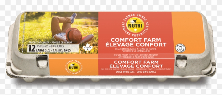 Comfort Farm Large White Eggs - Nutri Eggs Clipart #5648714