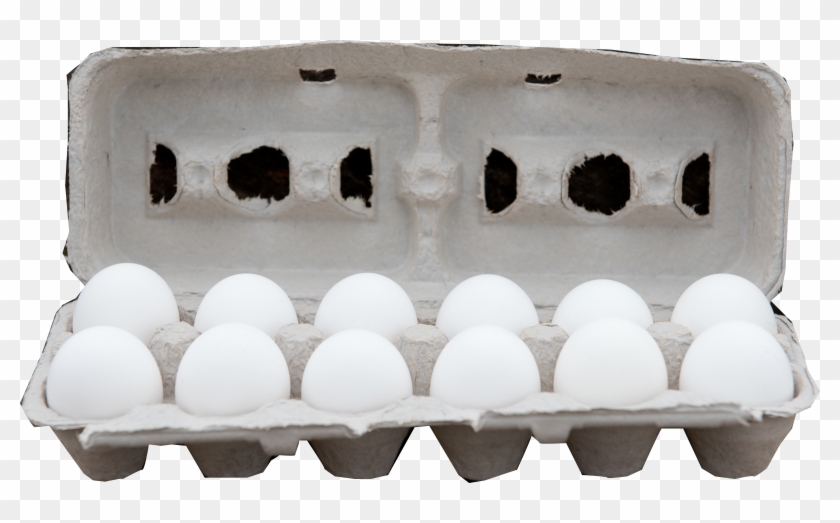 Alderfer Cage Free Eggs Come From Small, Family Farms - Snow Clipart #5649001