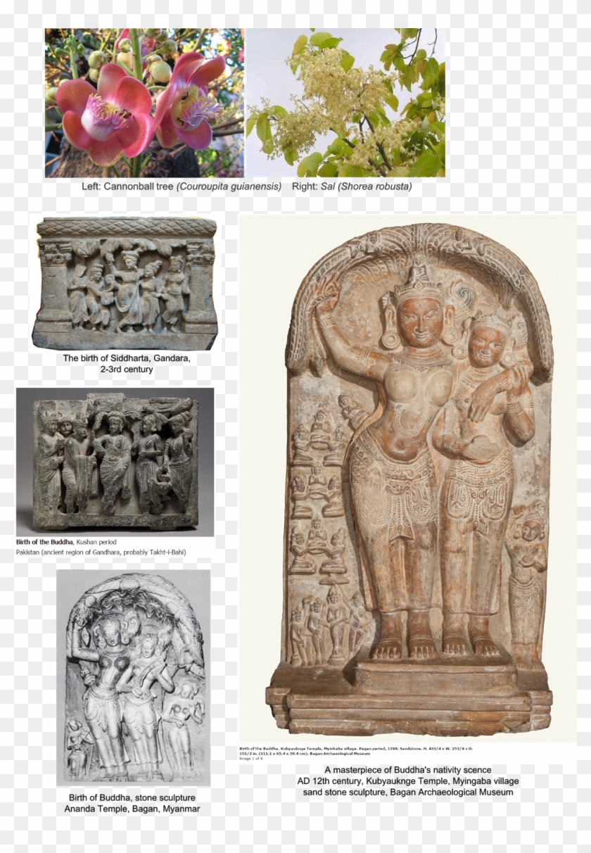 In Asoka A Cultural And Scientific Evauation, 1972, - Birth Of The Buddha Clipart #5649049