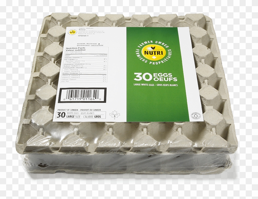 Large White Eggs - Buttercream Clipart