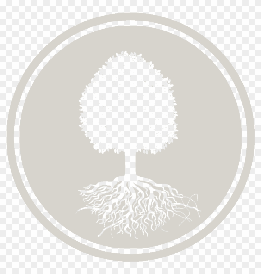 Environmental Protection - - Tree Roots Clip Art Free Black White - Png Download #5649385
