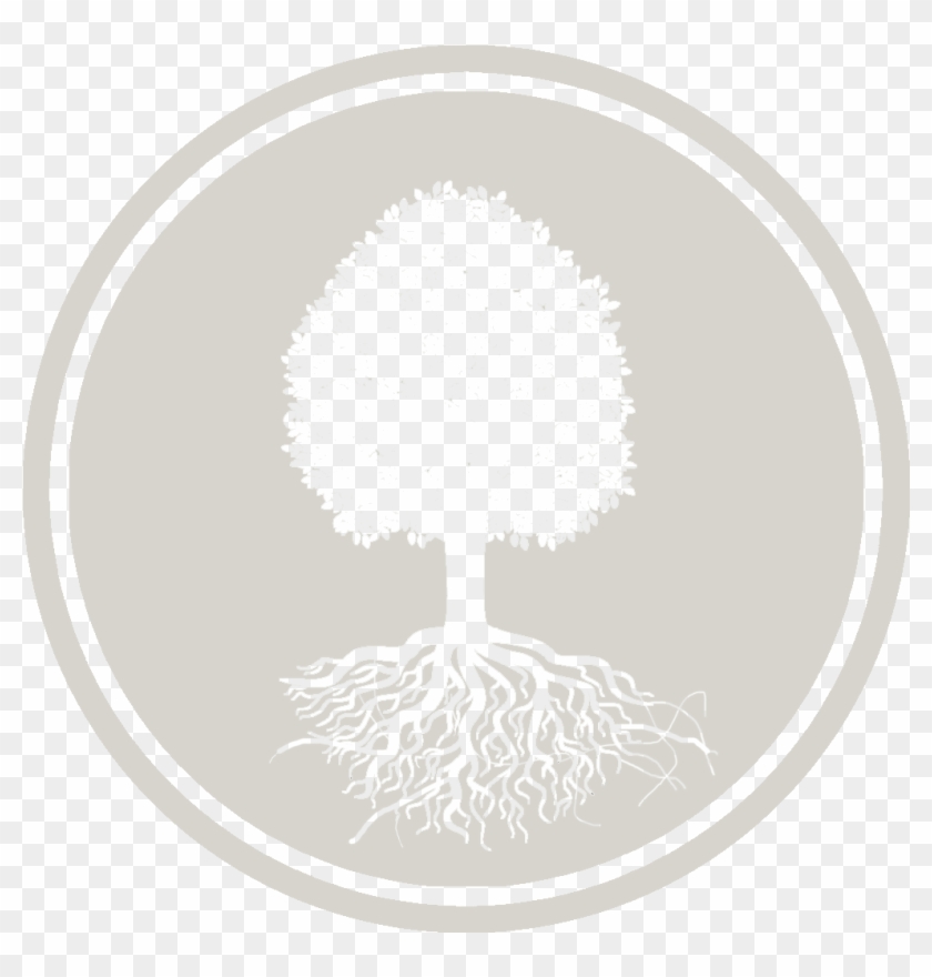 Environmental Protection - - Tree Roots Clip Art Free Black White - Png Download