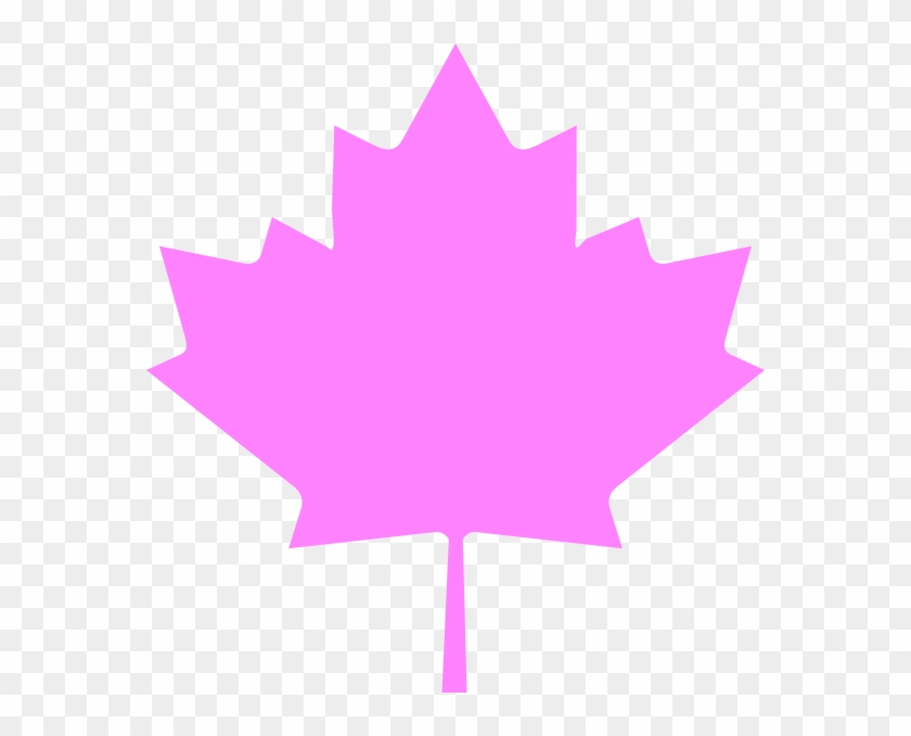 Canadian Maple Leaf Clipart #5649430