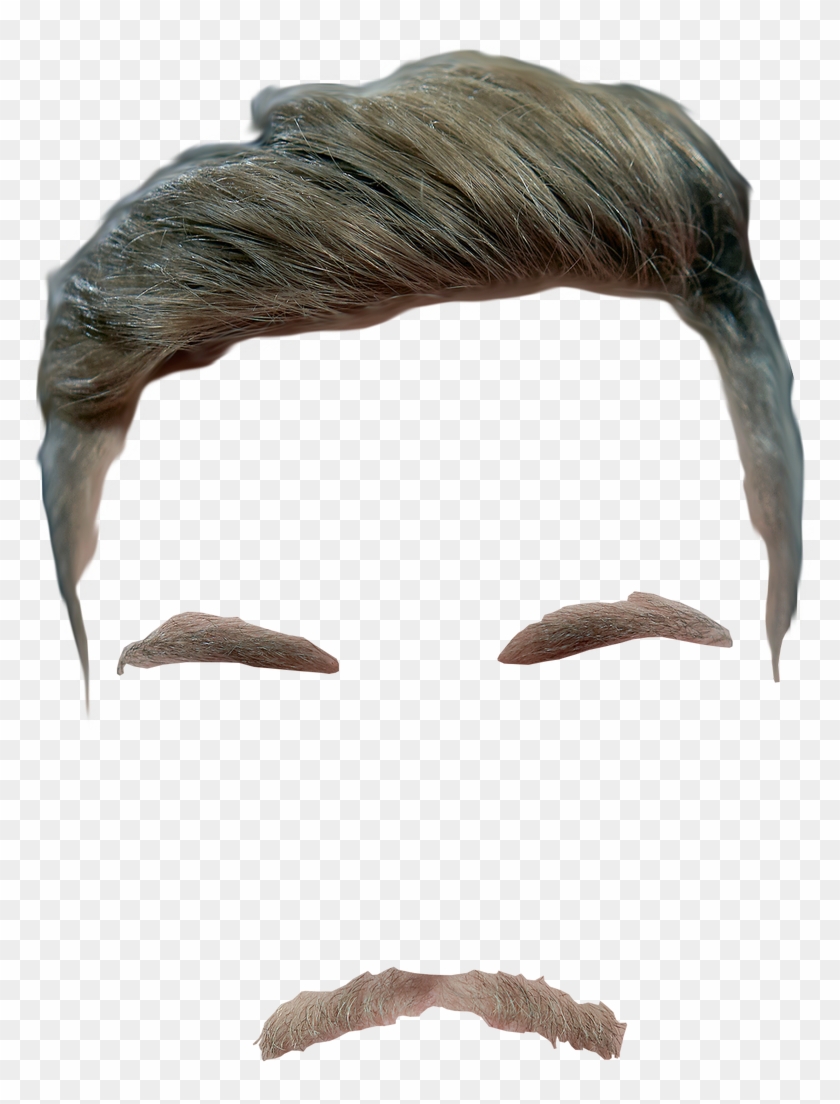 #meis7er On Twitter - Marine Mammal Clipart #5649851