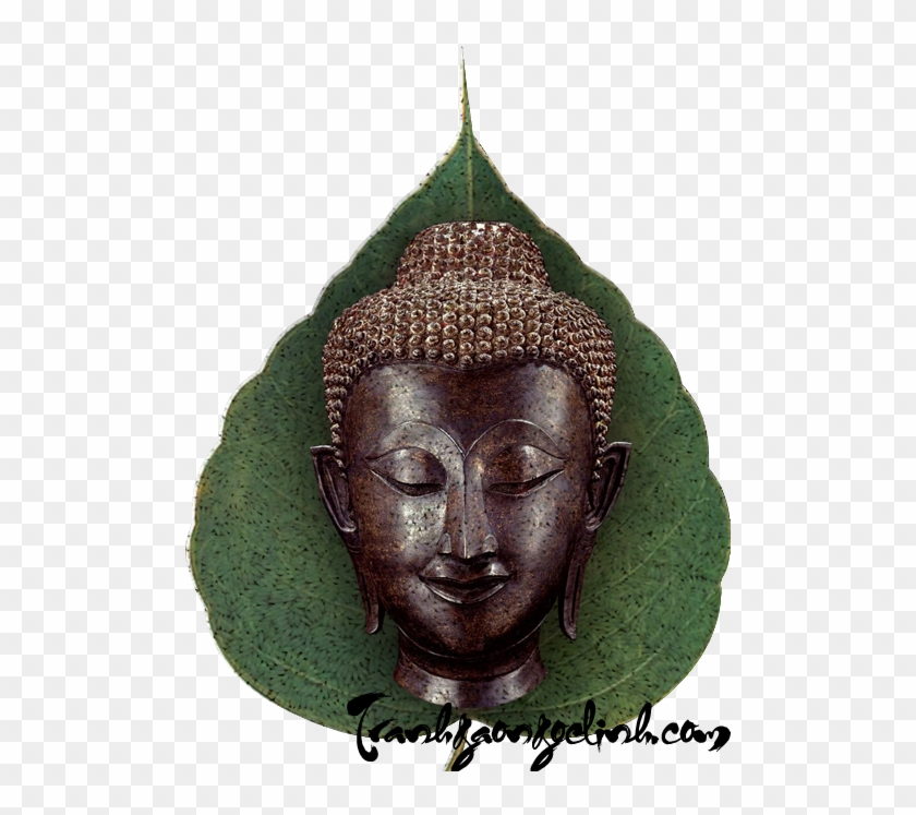 Gautama Buddha Clipart #5650657