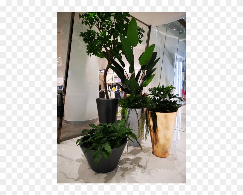 Fiberglass Round Flower Pot, Fiber Glass Pot Icon Siam - Houseplant Clipart #5651628