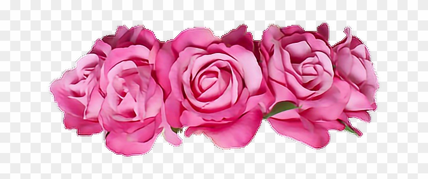 #flowercrown #rose #pink #cute #sweet #flower #spring - Garden Roses Clipart #5652066