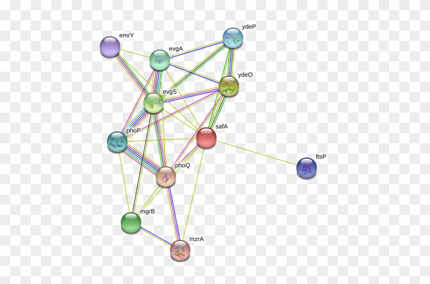 Circle Clipart #5652415