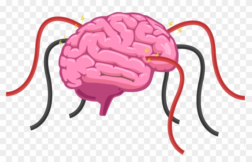 The Human Brain Is A Hive Of Electrical Activity With - Brain Diagram Clipart