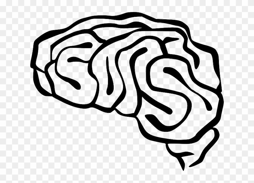 Brain, Anatomy, Intelligence, Organ, Human, Neurology - Brain Clip Art - Png Download