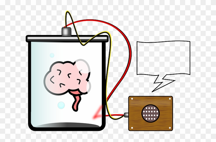 The Human Brain - Engineers Translate Brain Signals Directly Into Speech Clipart #5652923