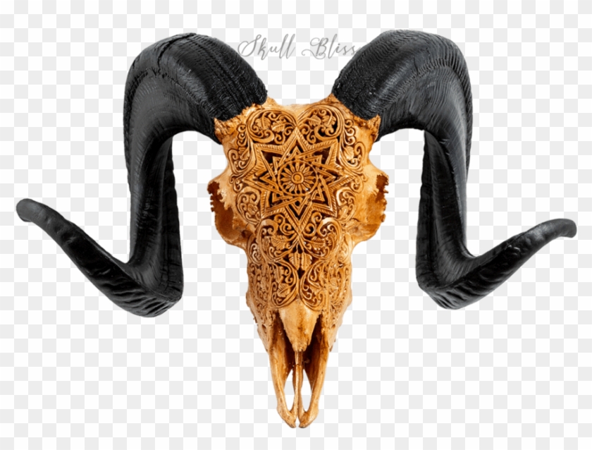 Carved Ram Skull - Horn Clipart