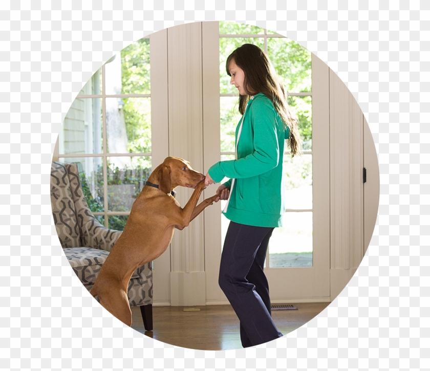 Companion Dog , Png Download - Guard Dog Clipart #5655876