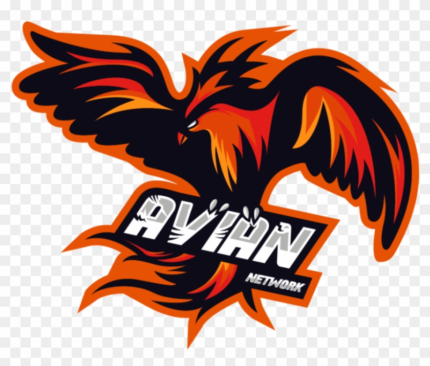 [ Img] - Accipitridae Clipart