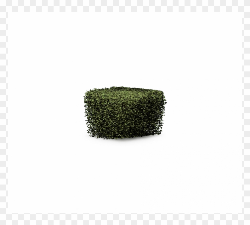 Grass Clipart #5656761