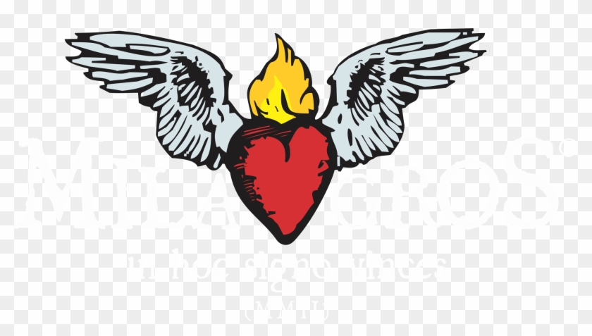 Arbusto Que Produz A Mirra - Illustration Clipart