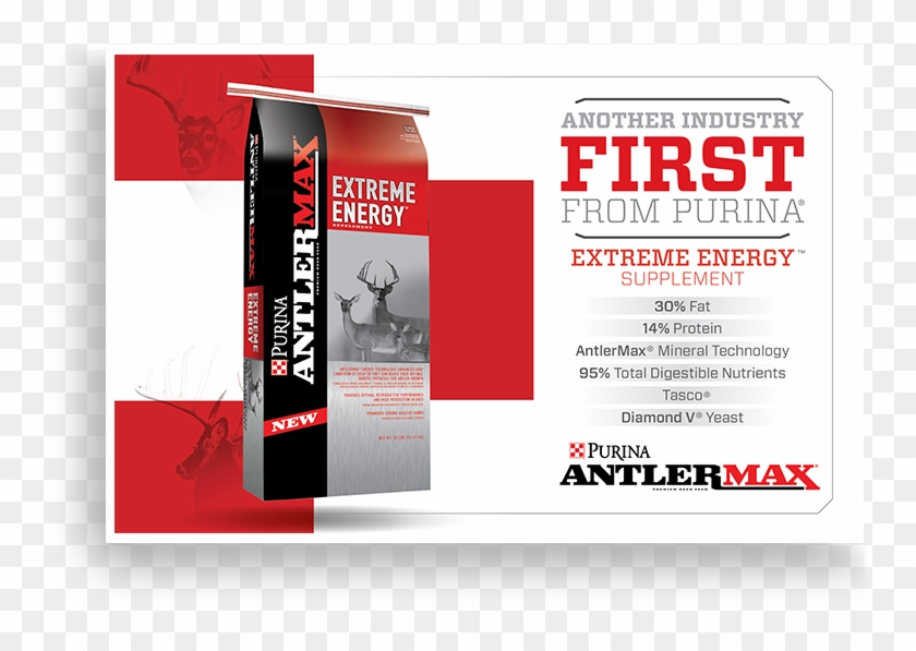 Purina Direct Mail - Flyer Clipart #5657094