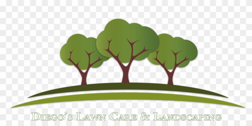 Diego's Lawn Care & Landscaping - 3 Tree Logo Clipart #5658294