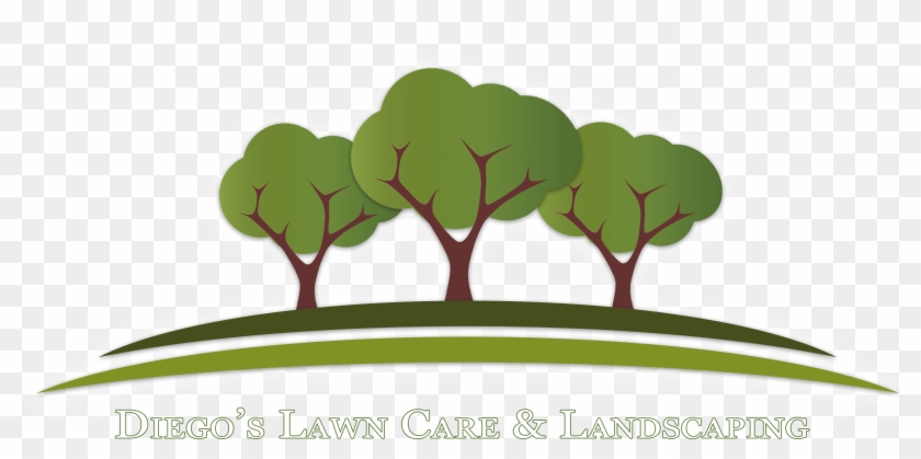 Diego's Lawn Care & Landscaping - 3 Tree Logo Clipart