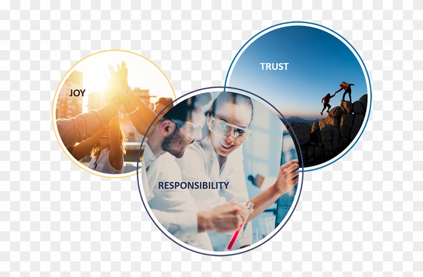 These Company Values Define Berner Berner Values - Cd Clipart