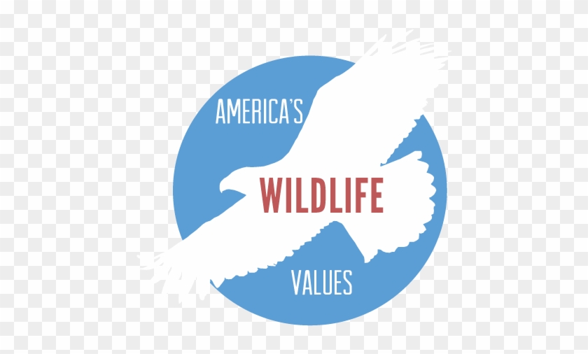 - America's Wildlife Values - Emblem Clipart