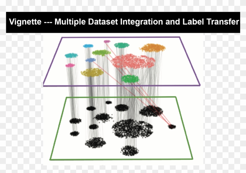 Enter Image Description Here - Floral Design Clipart