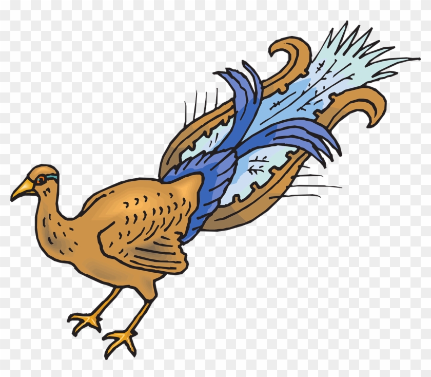 Bird Wings Peacock Tail Plucked Png Image - Cola Ave Clipart