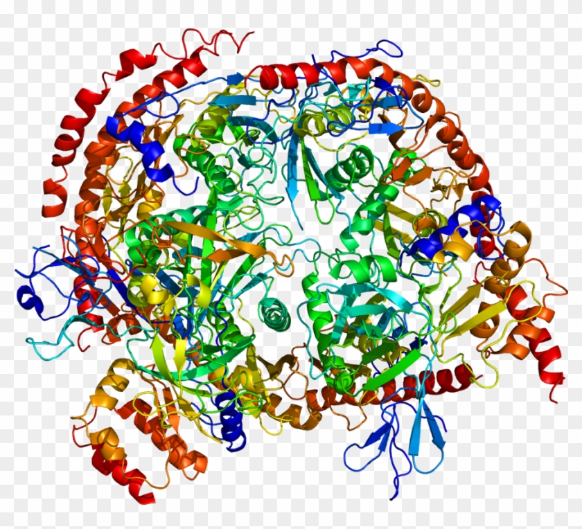 Protein Exosc3 Pdb 2nn6 - Chemistry And Biology Interface Clipart