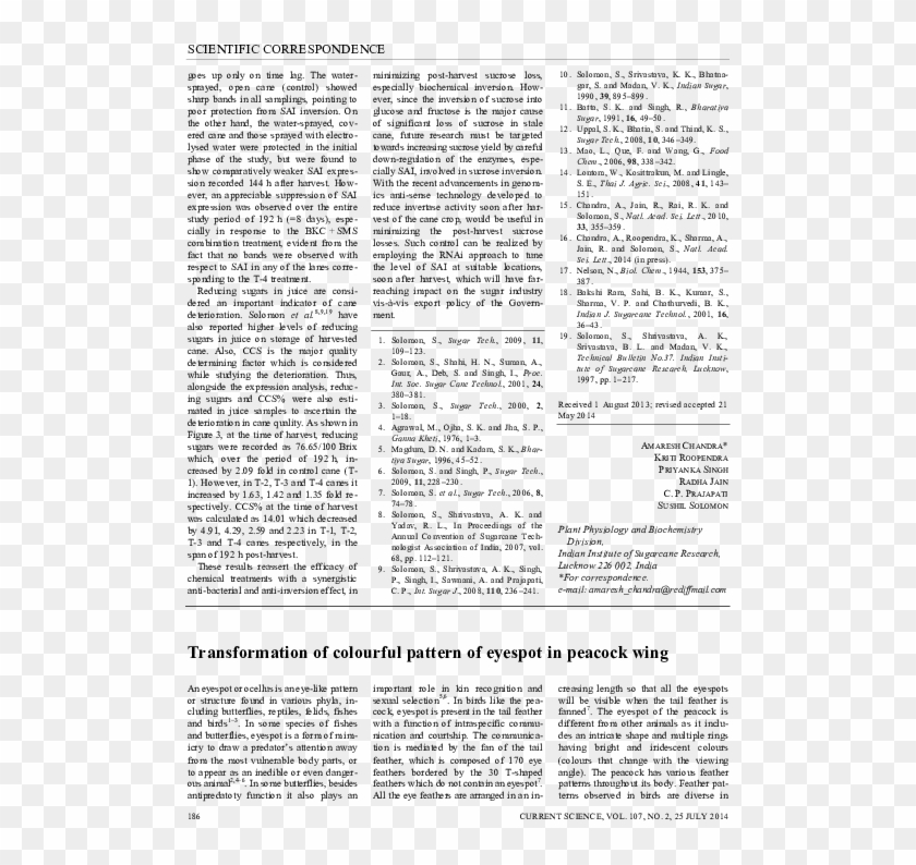 Pdf - Folio Eleven From Burchard Of Sion's De Locis Ac Mirabilibus Clipart #5663418