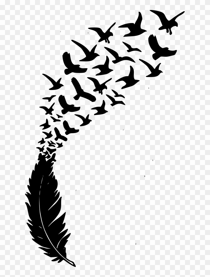 Download Feather And Birds - Feather With Birds Png Clipart Png